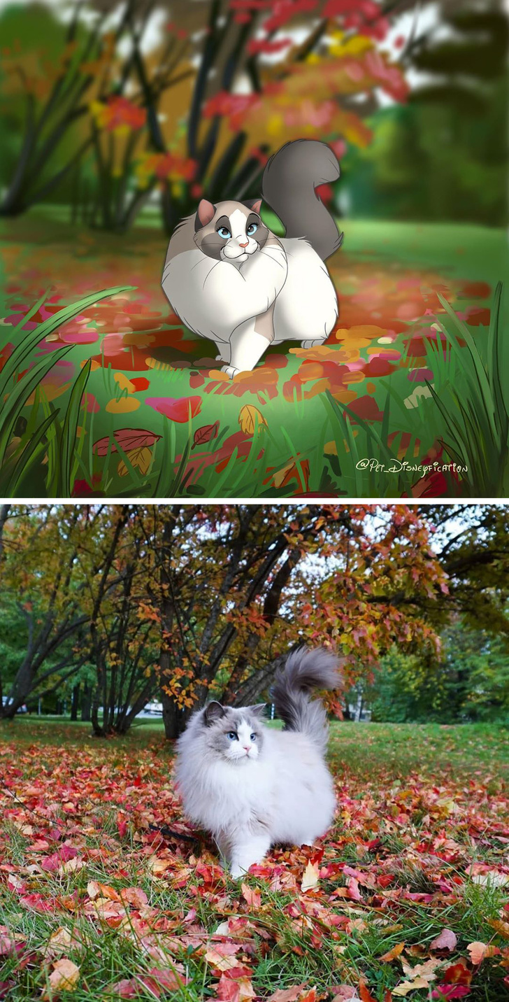 Илустратор ги претвора фотографиите на вашето милениче во магични креации што изгледаат како ликовите на Дизни
