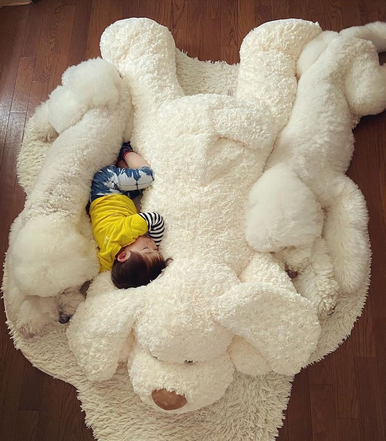 Една баба од Јапонија прави фотографии од силната поврзаност помеѓу нејзините внучиња и пудлици