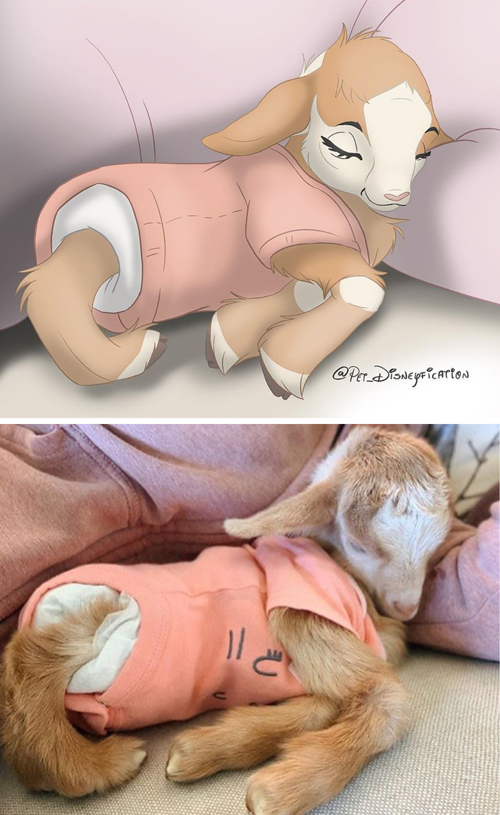 Илустратор ги претвора фотографиите на вашето милениче во магични креации што изгледаат како ликовите на Дизни