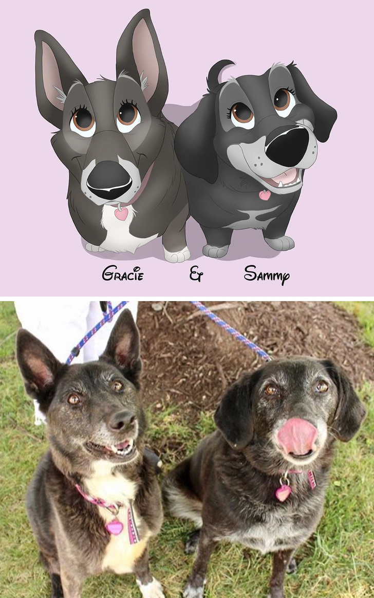 Илустратор ги претвора фотографиите на вашето милениче во магични креации што изгледаат како ликовите на Дизни