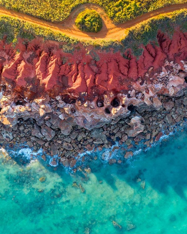 15 фасцинантни изненадувања од природата што не очекувавте дека ќе ги видите