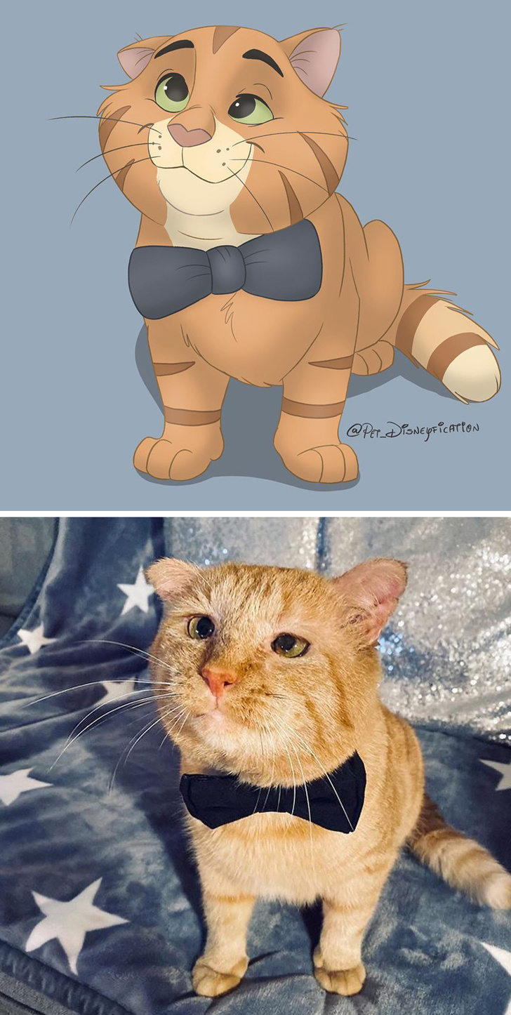 Илустратор ги претвора фотографиите на вашето милениче во магични креации што изгледаат како ликовите на Дизни