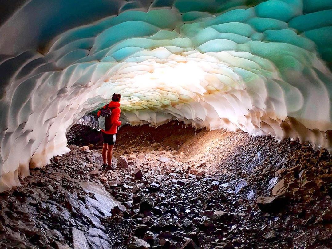 15 фасцинантни изненадувања од природата што не очекувавте дека ќе ги видите