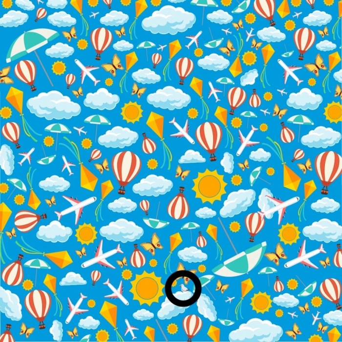 Загатки: Дали ќе успеете да ги пронајдете скриените предмети за помалку од 1 минута?