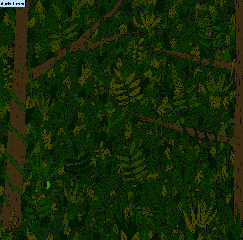 Загатка: Дали можете да ја пронајдете змијата во џунглата?