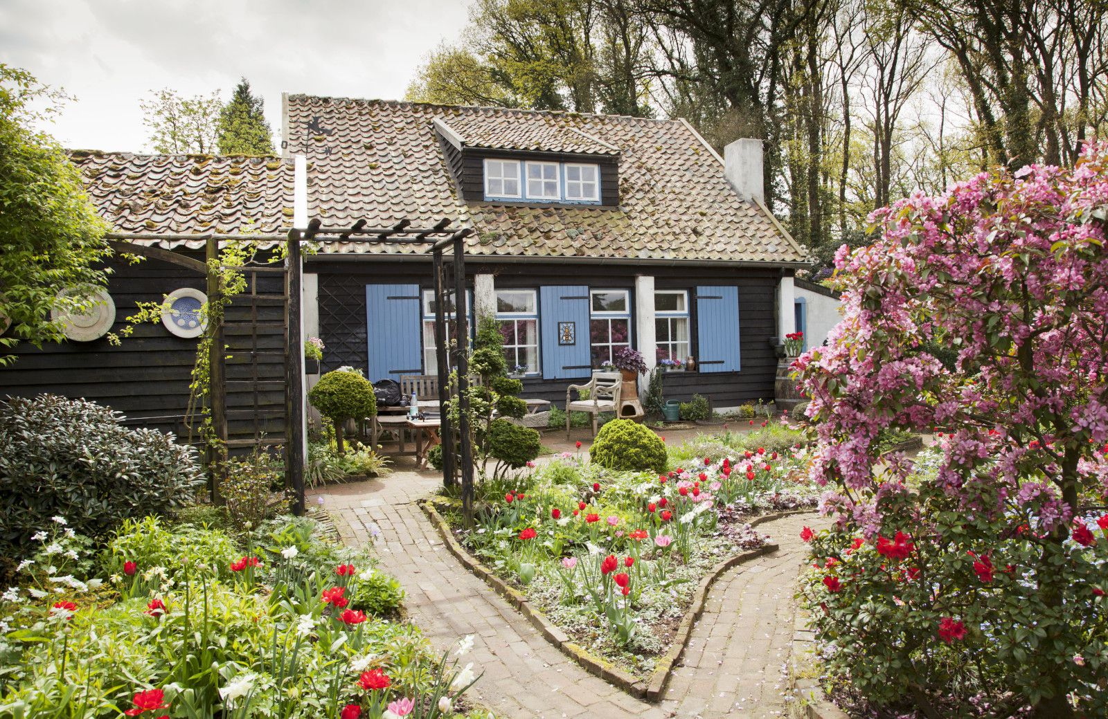 Двор во кој љубителите на цвеќиња би се чувствувале како во рајот