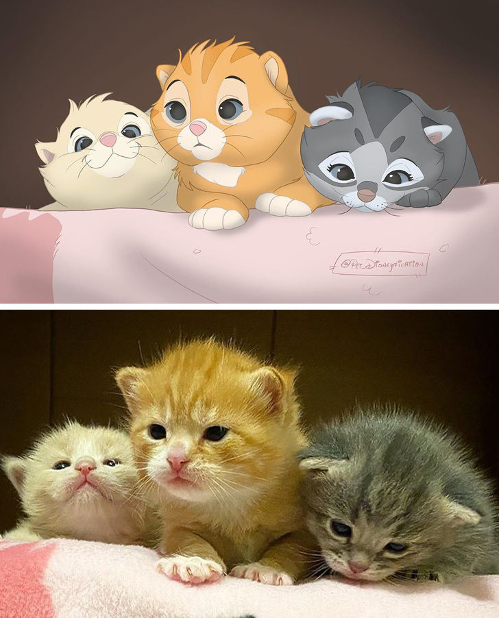 Илустратор ги претвора фотографиите на вашето милениче во магични креации што изгледаат како ликовите на Дизни