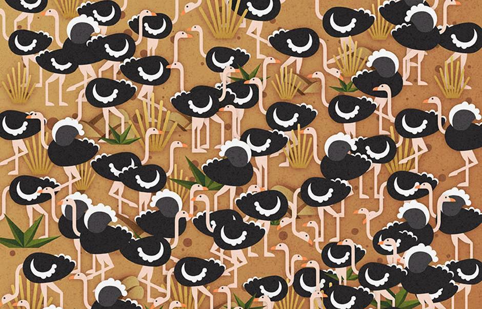 Загатка: Дали можете да го пронајдете чадорот за помалку од 45 секунди?