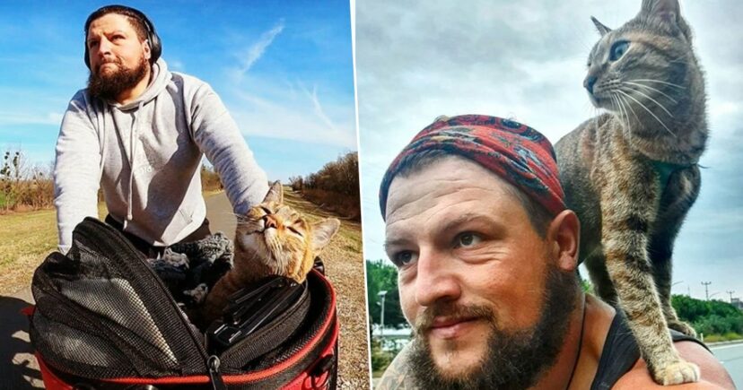 Велосипедист пронашол бездомна мачка која решил да ја носи на патување низ светот