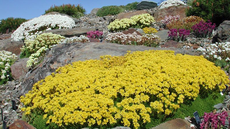 Ѕирнете во најубавите паркови и градини ширум светот