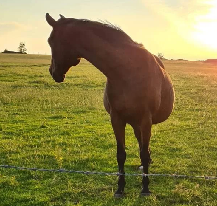 15 фотографии што ќе ве натераат да ги погледнете двапати