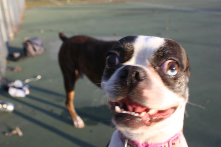 15 фотографии што ќе ве натераат да ги погледнете двапати