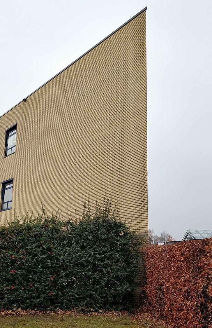 15 фотографии што ќе ве натераат да ги погледнете двапати