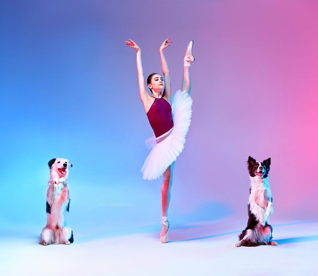 Слатки фотографии од танчери и кучиња