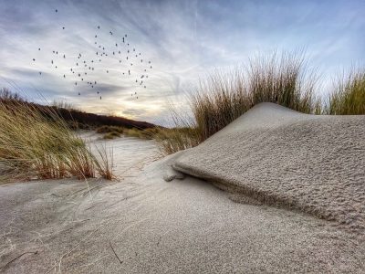 Ова се победничките фотографии од годинашниот натпревар за фотографии направени со Ајфон