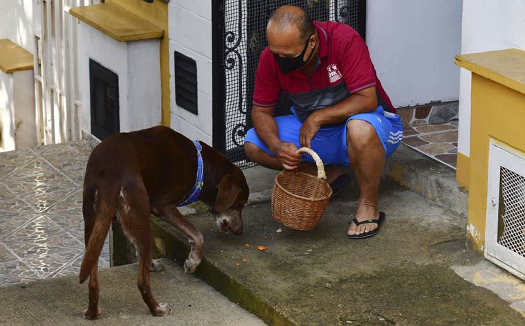 Запознајте го Ерос: Кучето кое доставува намирници на своите соседи