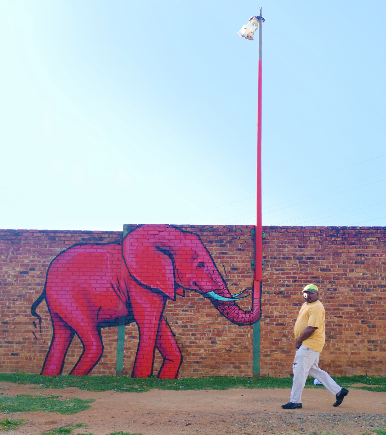 Артист создава неверојатни мурали со слонови кои ја разубавуваат околината
