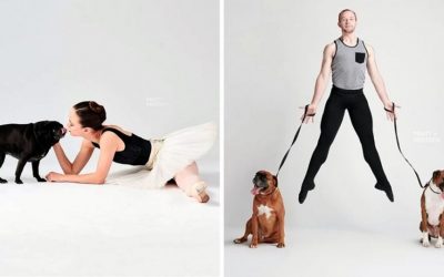 Слатки фотографии од танчери и кучиња