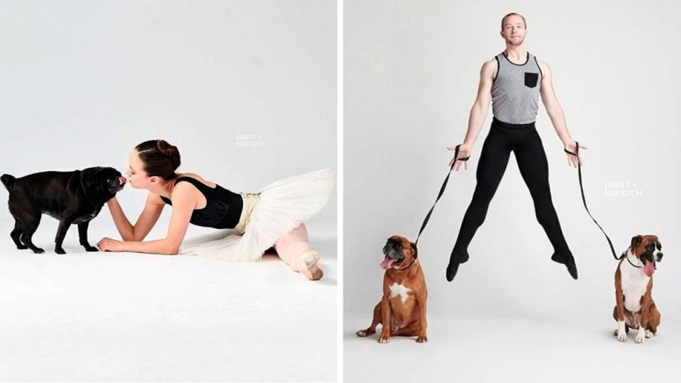 Слатки фотографии од танчери и кучиња