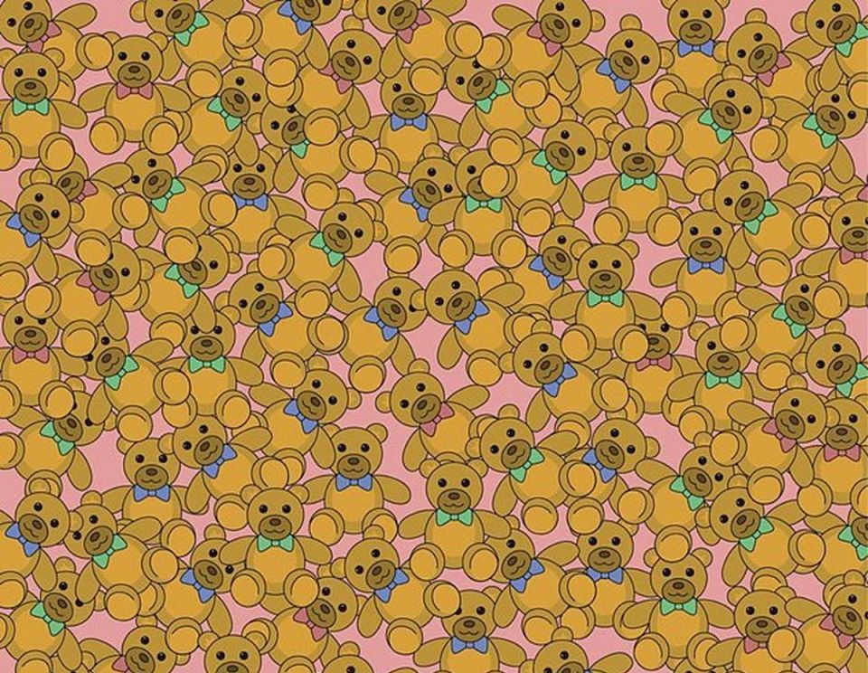 Дали можете да го најдете мечето без панделка за помалку од 16 секунди?