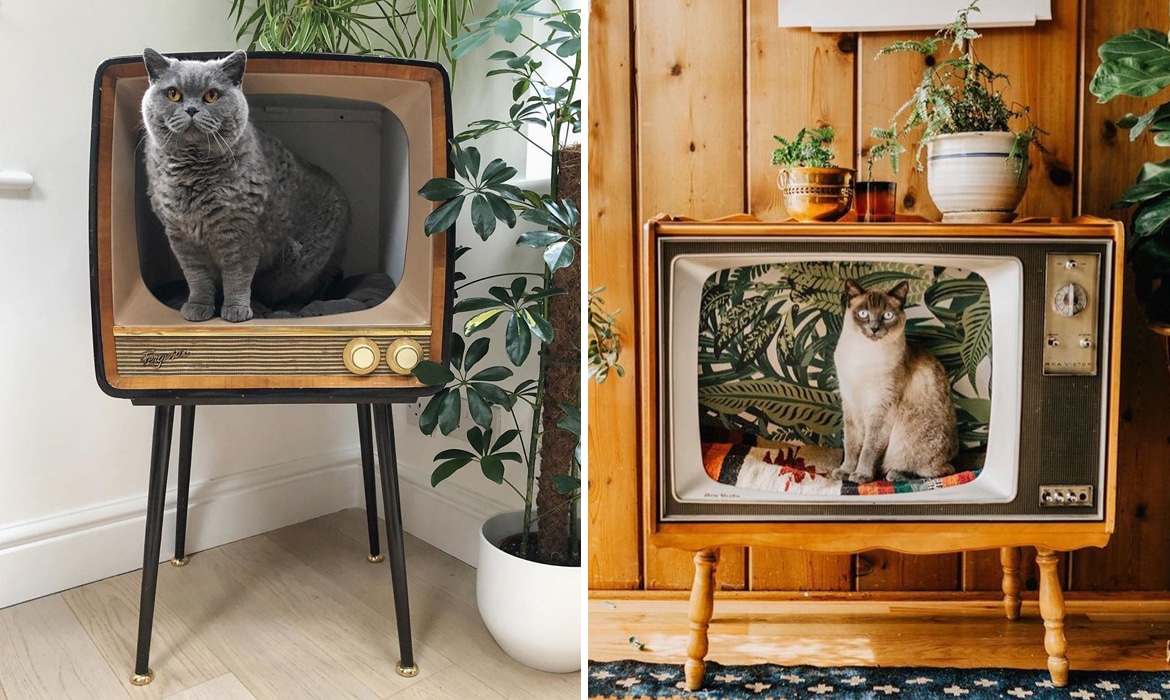 Луѓето ги претвораат старите телевизори во прекрасни кревети за нивните крзнени пријатели