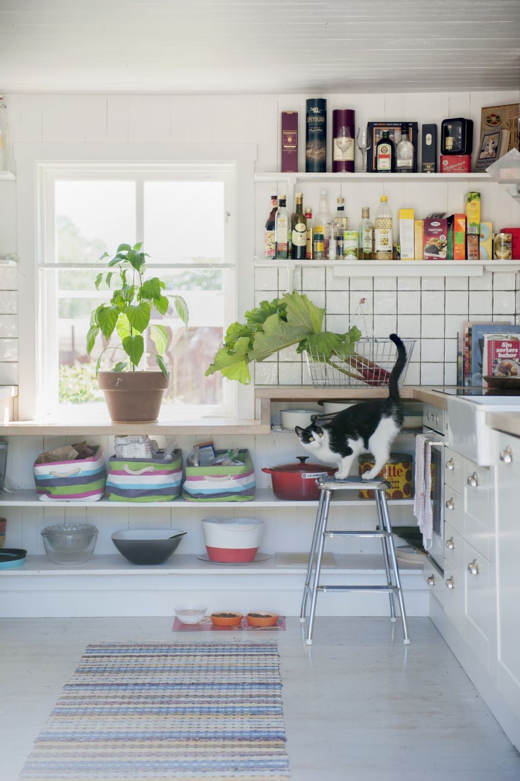 12 докази дека кујната е совршено место за украсни растенија