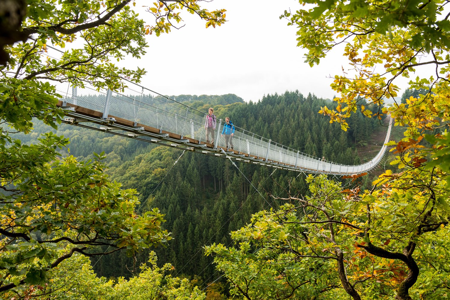 Дали ова е најубавиот мост во Германија?