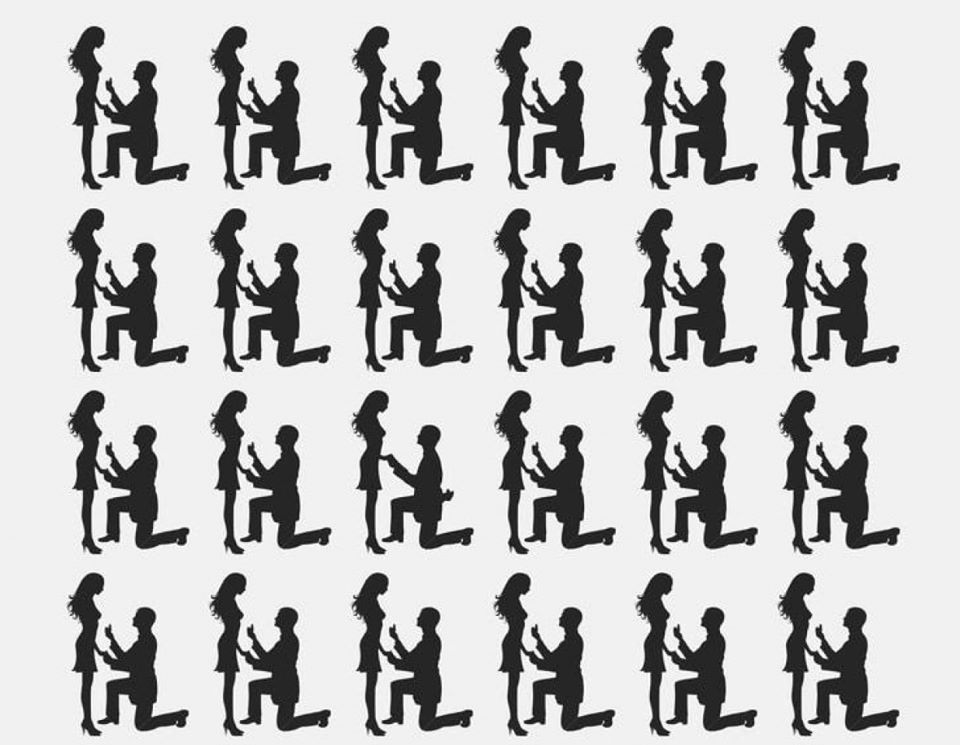 Дали ќе го пронајдете парот што се разликува од останатите за помалку од 10 секунди?