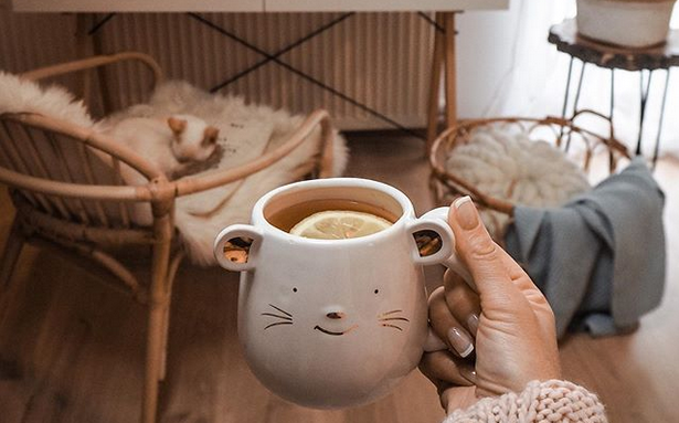 Едноставни трикови со кои можете да создадете пријатна есенска атмосфера во домот