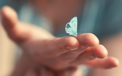 Легенда за сината пеперутка: Ова е сè што треба да знаете за животот!