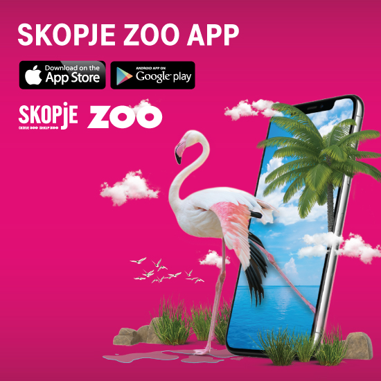 Македонски Телеком ја креираше Skopje ZOO – апликација за дигитално искуство на сите посетители во Зоолошката градина Скопје