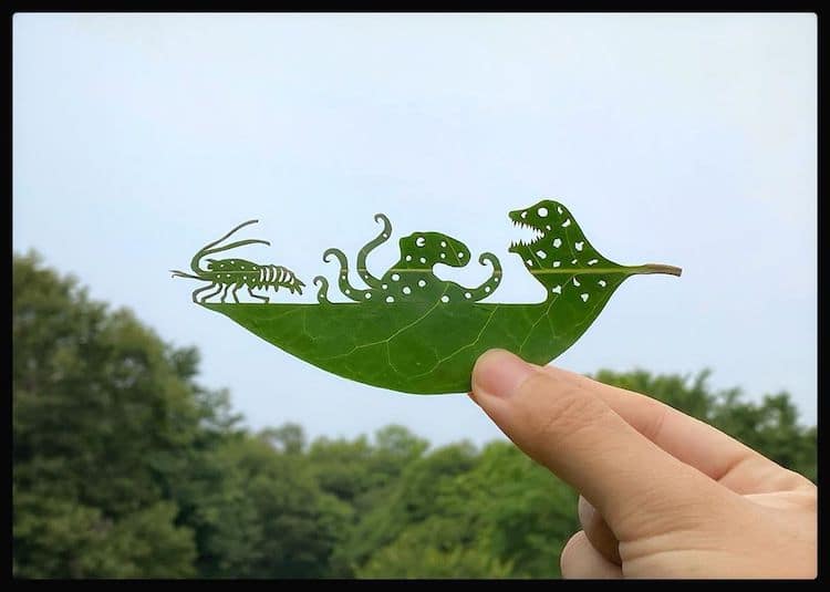 Лисја претворени во деликатни уметнички дела