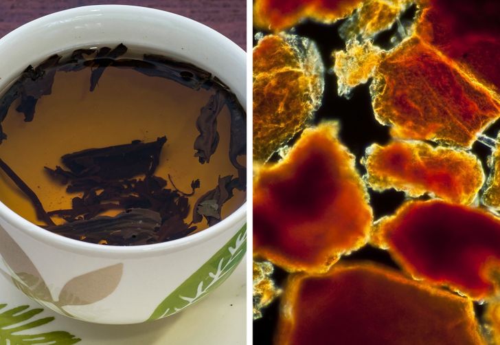 14 фотографии што откриваат како изгледаат секојдневните предмети под микроскоп