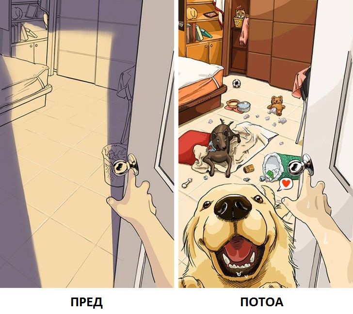 Илустрации што покажуваат како изгледа животот пред да имате домашно милениче и потоа