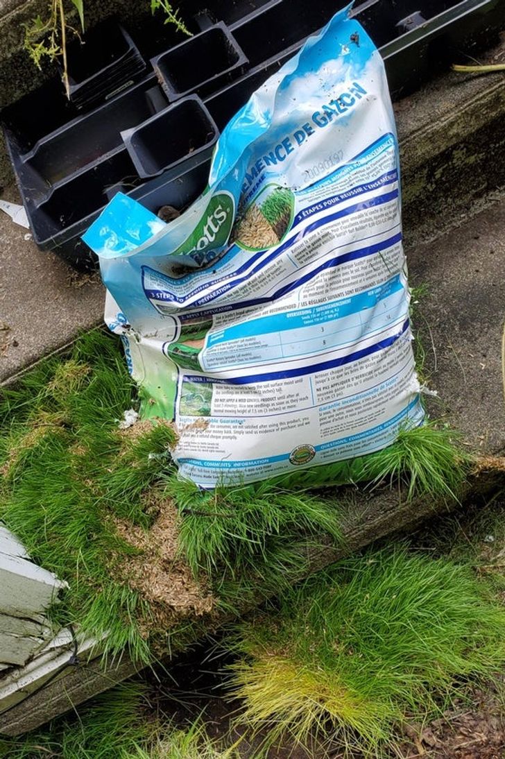 20 фотографии што сведочат за волјата за живот на мајката природа 