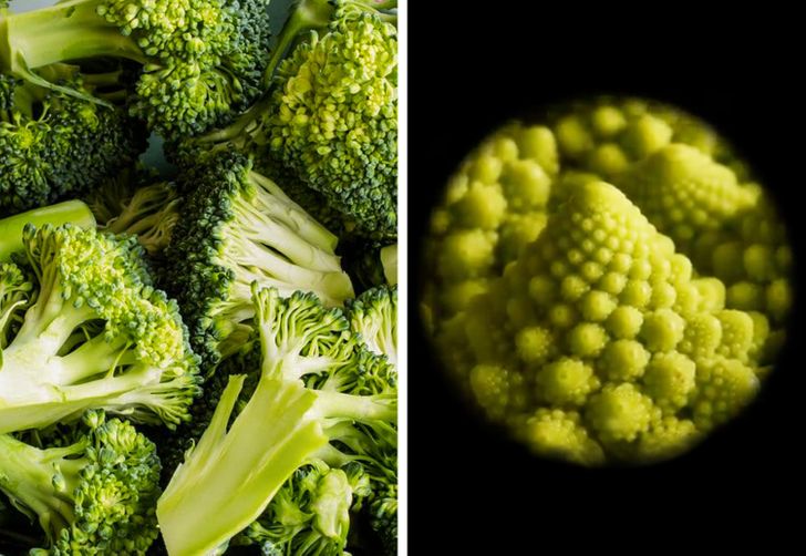 14 фотографии што откриваат како изгледаат секојдневните предмети под микроскоп