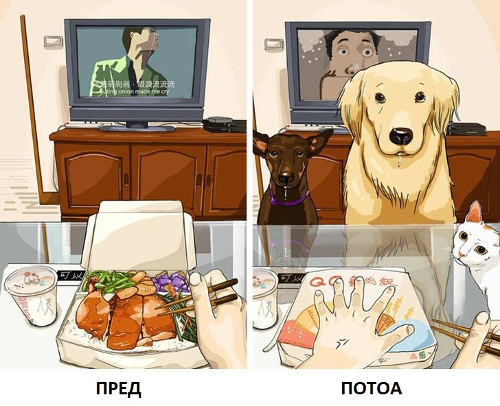 Илустрации што покажуваат како изгледа животот пред да имате домашно милениче и потоа