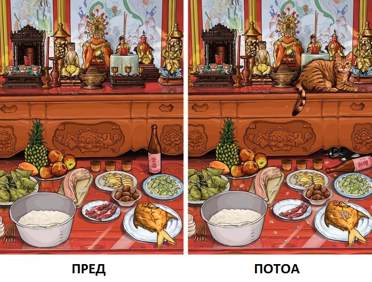 Илустрации што покажуваат како изгледа животот пред да имате домашно милениче и потоа