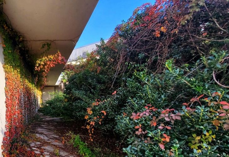 20 фотографии што сведочат за волјата за живот на мајката природа 