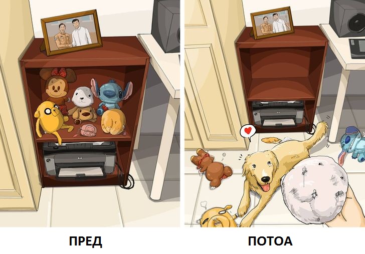 Илустрации што покажуваат како изгледа животот пред да имате домашно милениче и потоа