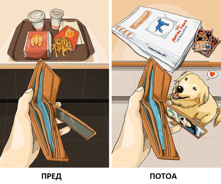 Илустрации што покажуваат како изгледа животот пред да имате домашно милениче и потоа