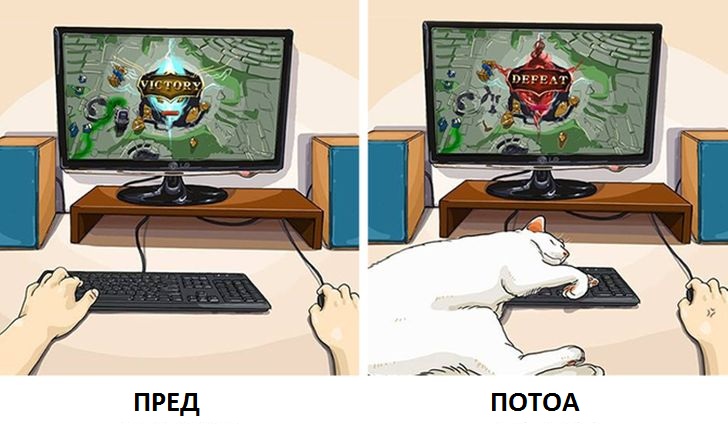 Илустрации што покажуваат како изгледа животот пред да имате домашно милениче и потоа