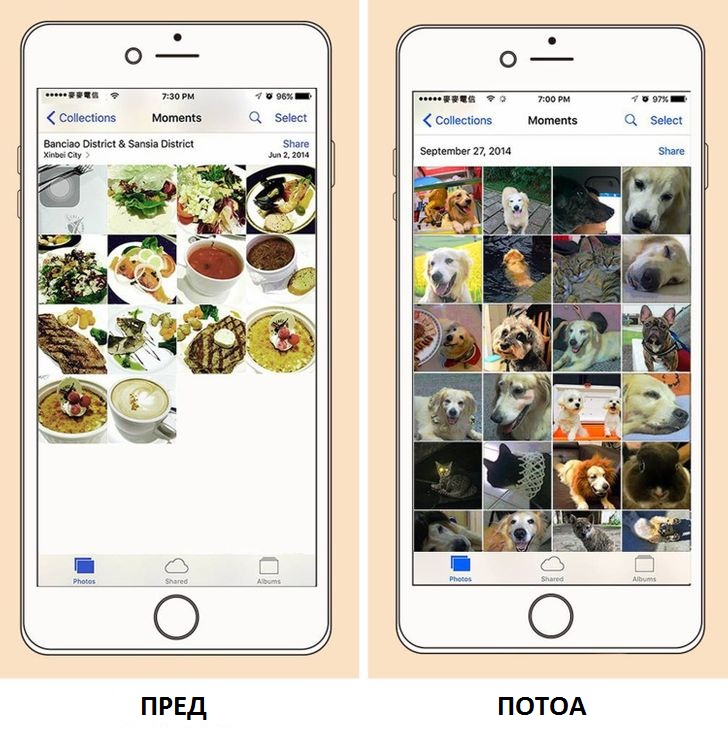 Илустрации што покажуваат како изгледа животот пред да имате домашно милениче и потоа