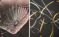 14 фотографии што откриваат како изгледаат секојдневните предмети под микроскоп