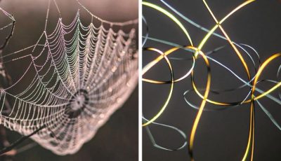 14 фотографии што откриваат како изгледаат секојдневните предмети под микроскоп