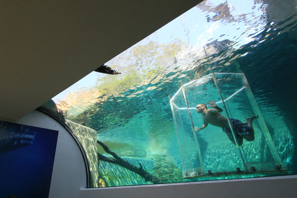 Тематски парк во Австралија во кој можете да пливате со огромни крокодили