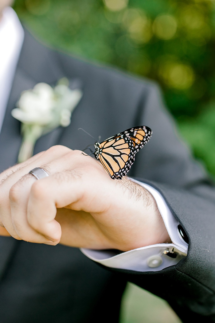 Свадбените фотографии на еден пар добиваат пресврт откако ќе се придружи една пеперутка