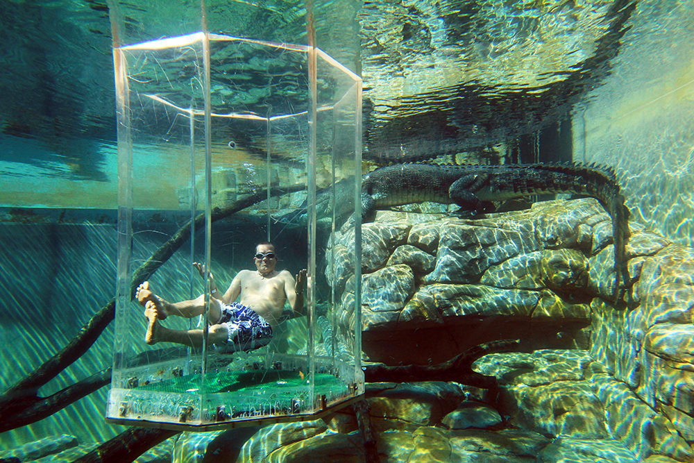 Тематски парк во Австралија во кој можете да пливате со огромни крокодили