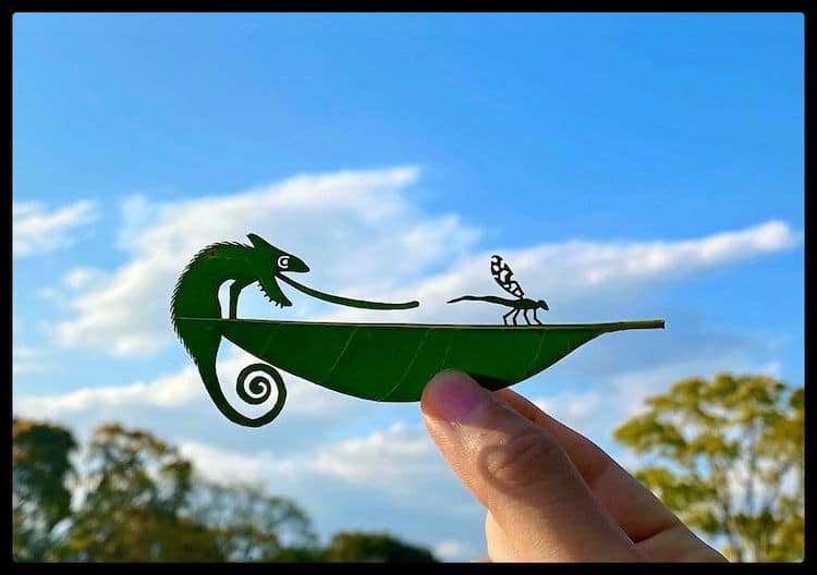 Лисја претворени во деликатни уметнички дела