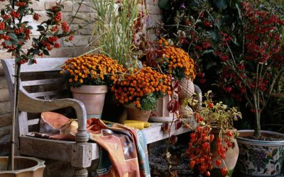 10 магични сцени поради кои ќе сакате да ја поминете есента на тераса или во градината